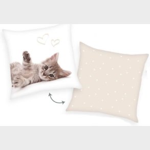 Kattekilling Sweet Dreams pude