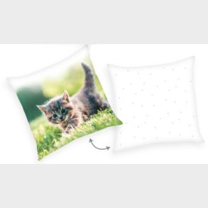 Kattekilling p grs pude