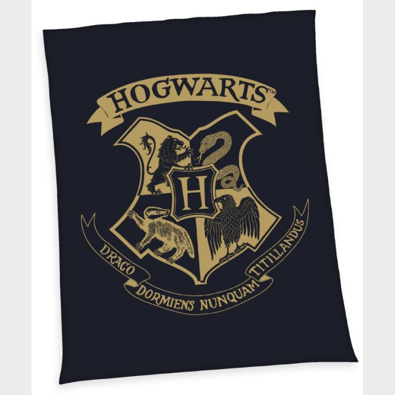 Harry Potter Fleece tppe - 150 x 200 cm