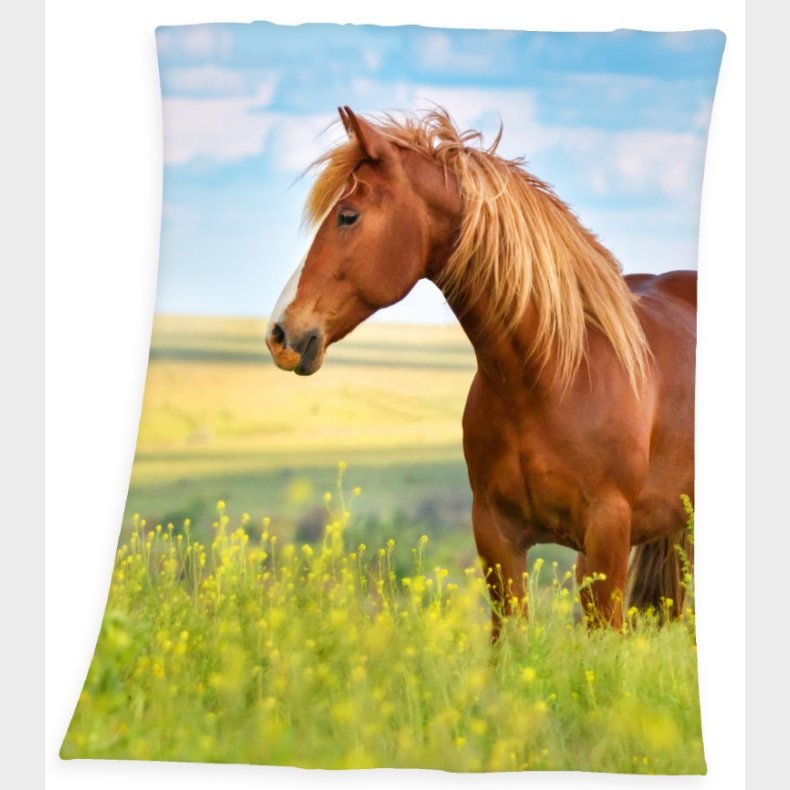 Heste Fleece tppe - 130 x 160 cm