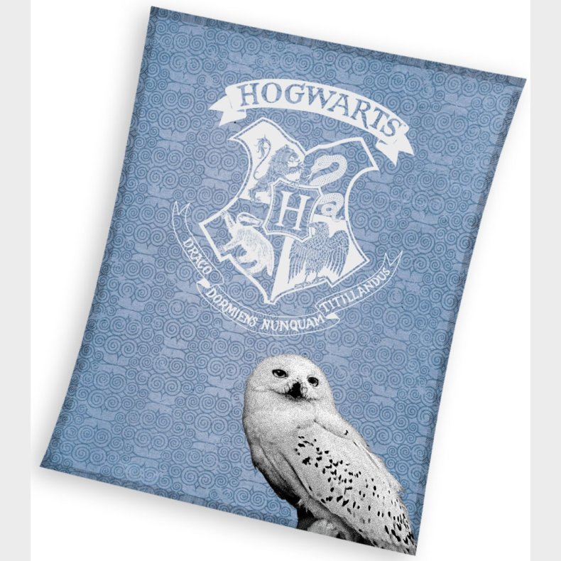Harry Potter Hedwig Coral Fleece tppe - 130 x 170 cm