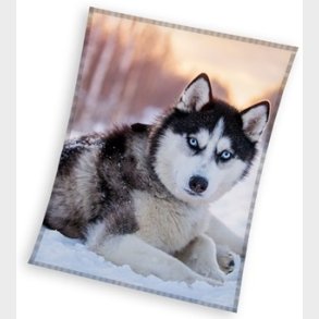 Sldehund Coral Fleece tppe - 150 x 200 cm