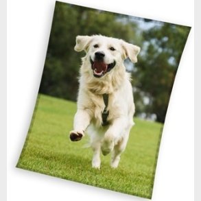 Hund Coral Fleece tppe - 150 x 200 cm