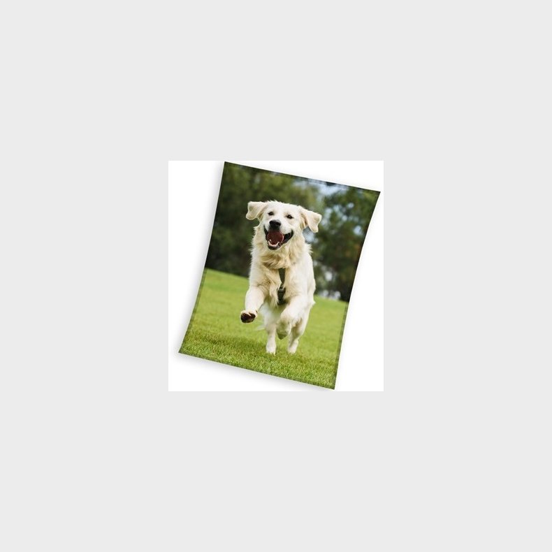 Hund Coral Fleece tppe - 150 x 200 cm
