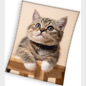 Katte Coral Fleece tppe - 150 x 200 cm