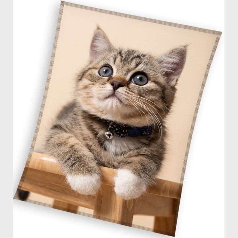 Katte Coral Fleece tppe - 150 x 200 cm