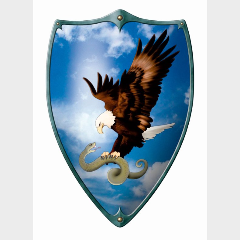 Trskjold til brn ''rn og slange'' 49 x 32 cm