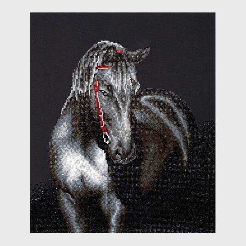 Diamond Dotz 53 x 42 cm - Midnight Stallion Hest