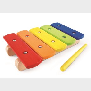Pintoy Xylofon Regnbue til brn (Fra 12 mdr)