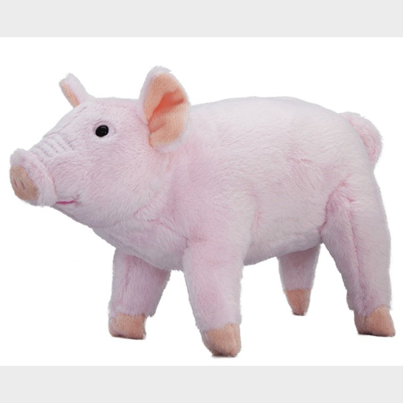 Baby Gris Plysbamse 22x14 cm - All About Nature