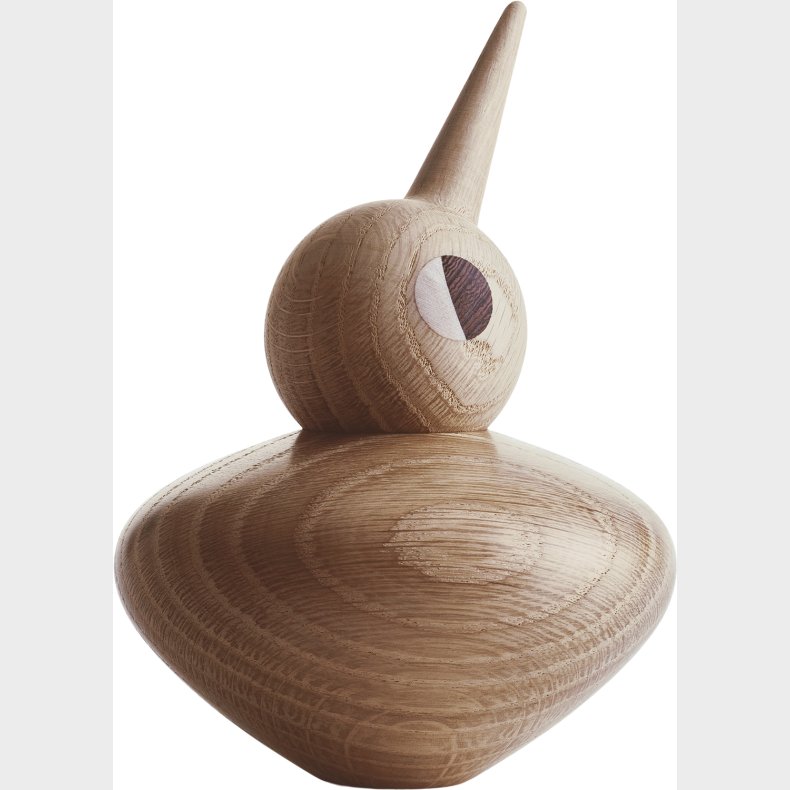 Bird Buttet Egetr Natur