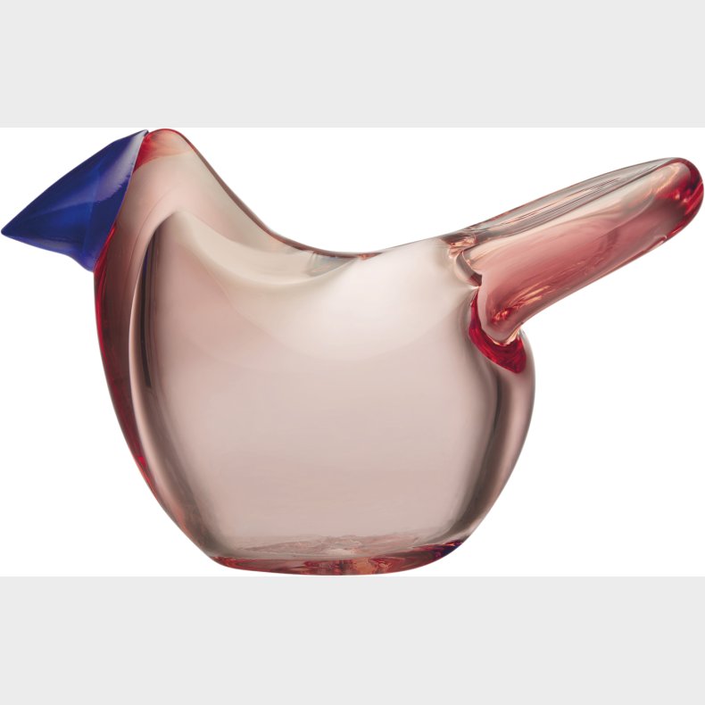 Bird by T Fluesnapper Salmon Pink/bl