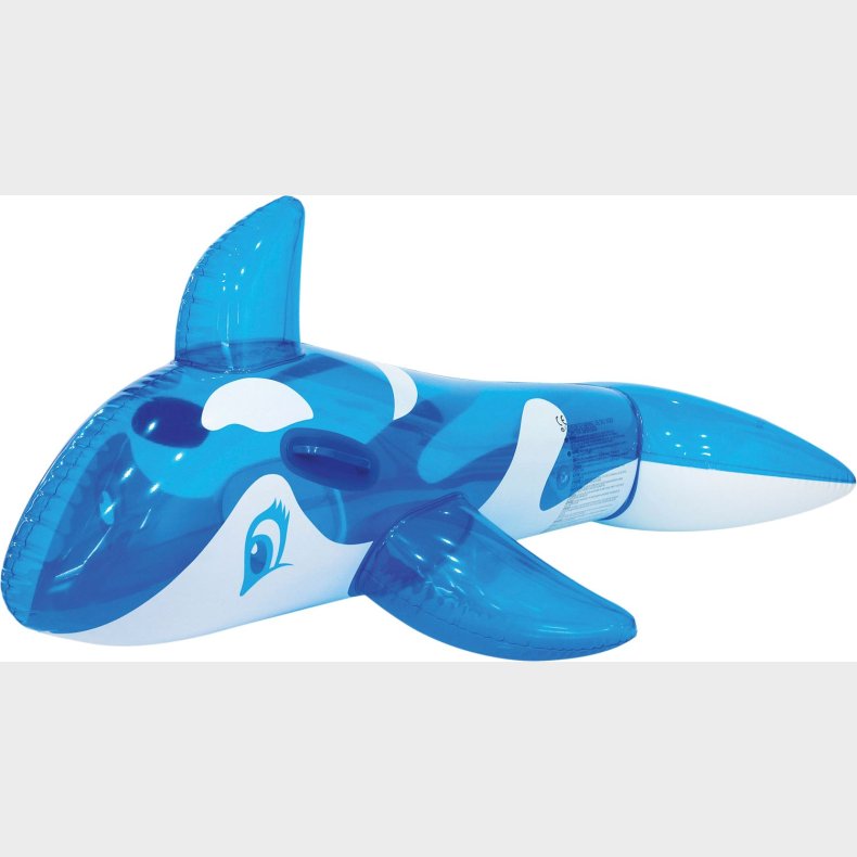 Hval 145x80m I Colorbox