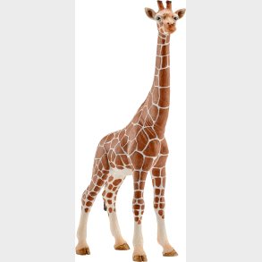 Sch Giraffe Female
