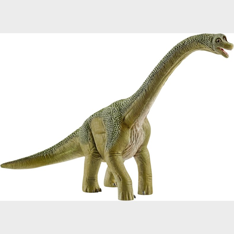 Sch14581 Brachiosaurus
