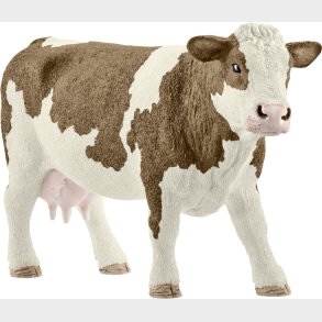 Sch13801 Simmental cow
