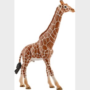 Sch Giraffe Male