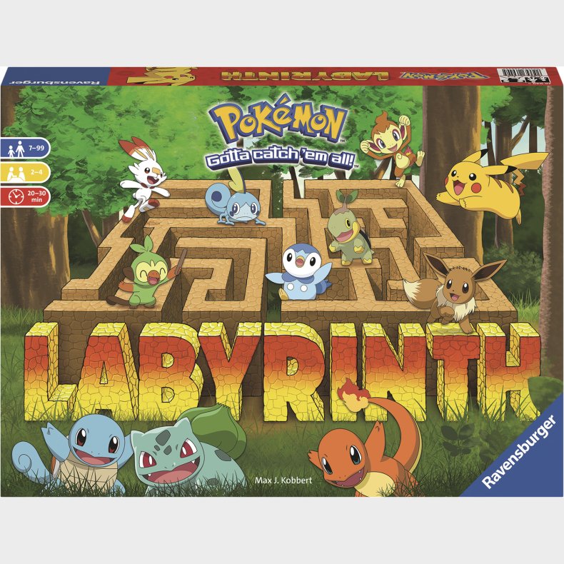 Pokemon Labyrinth