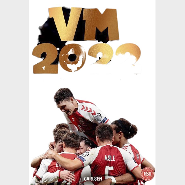 VM 2022 Bogen med Landsholdet