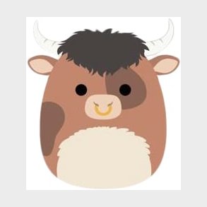 Shep Brown Spottet Bull