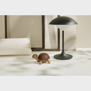 Speedy, Skildpaddeunge