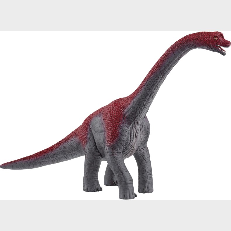 Schleich Brachiosaurus