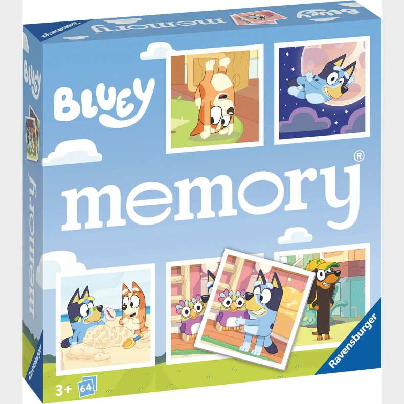 Bluey Memory