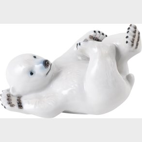 Isbjrneunge, Liggende 15 cm