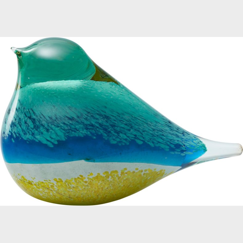 Glass Bird Atlas Blue/yellow
