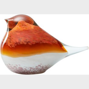 Glass Bird Atlas Orange/pink