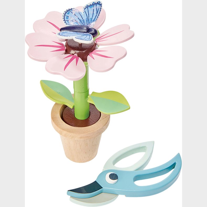 Tender Leaf Blomst i Potte