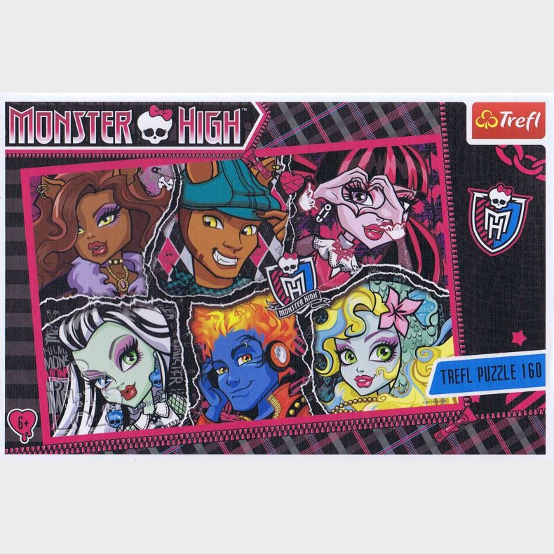 Monster High - 160 brikker