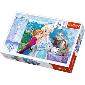 Disney Frozen - Slip Magien Ls - 30 brikker