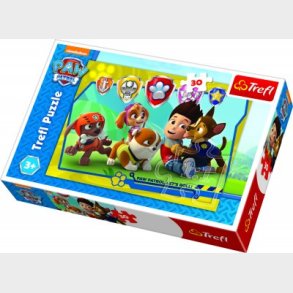 Paw Patrol, 30 brikker