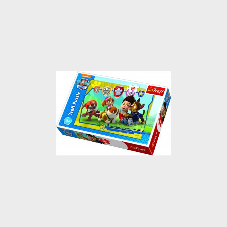 Paw Patrol, 30 brikker