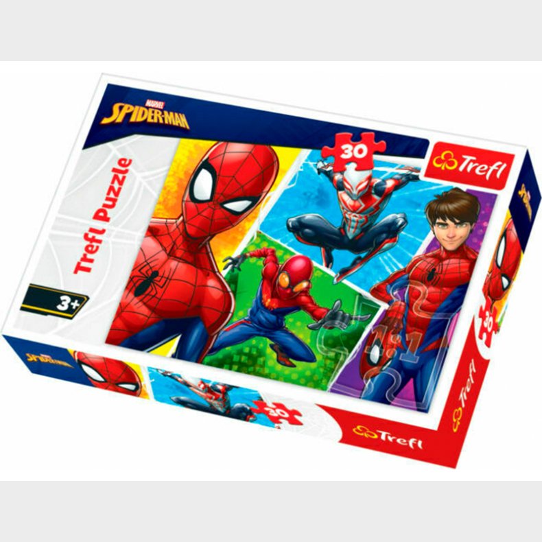 Spiderman - 30 brikker