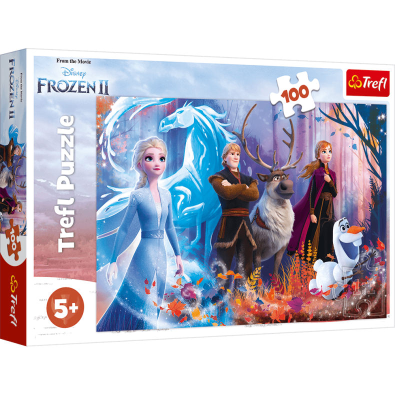 Disney Frost 2 - 100 brikker