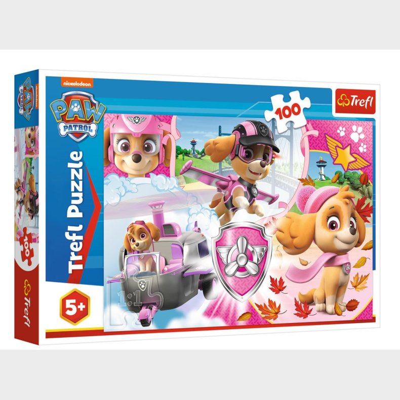 Paw Patrol - Skye - 100 brikker