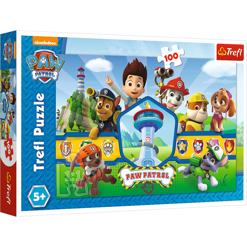 Paw Patrol - 100 brikker