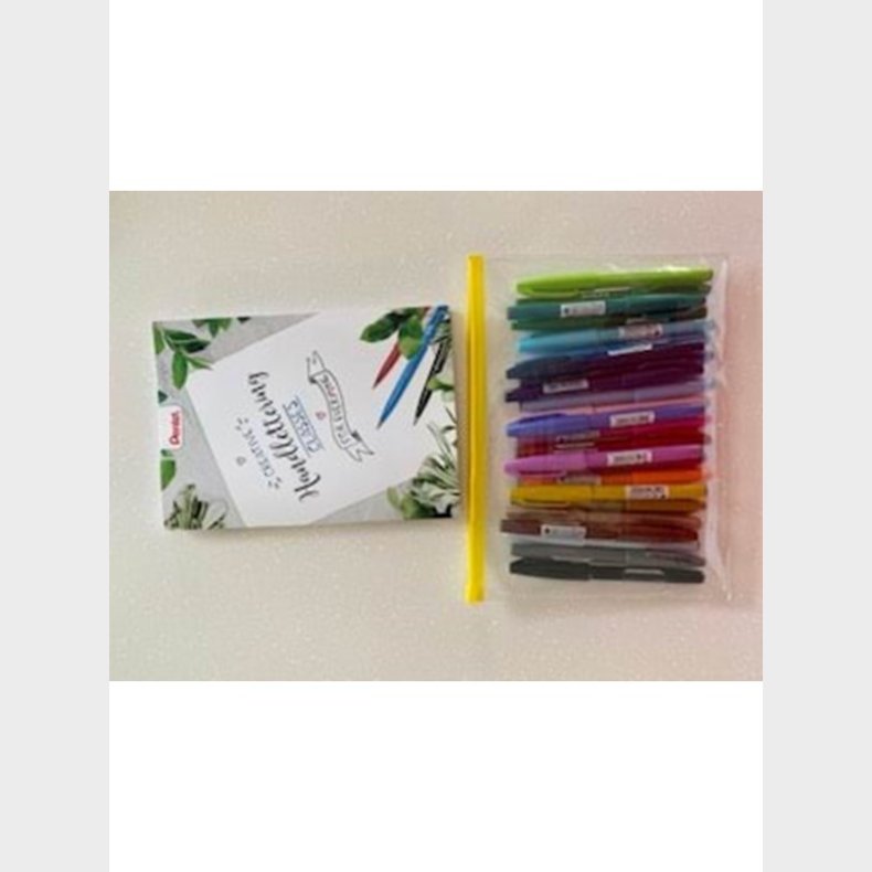 Pentel SES15-24 Brush Sign Pen Plast etu