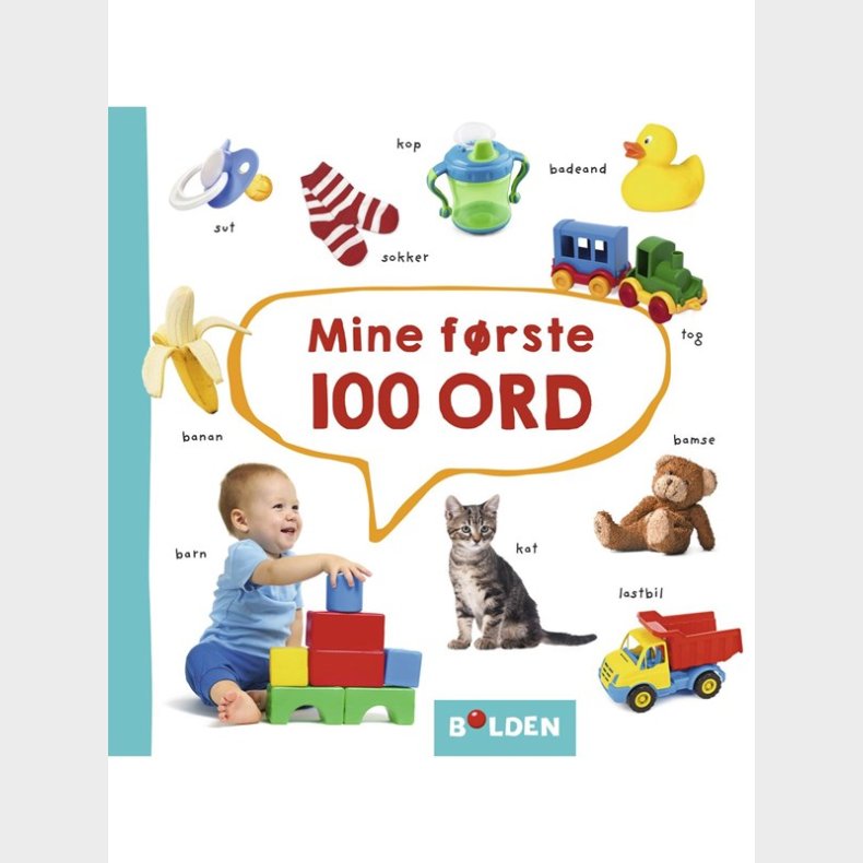 Mine frste 100 ord - Brnebog - Board books