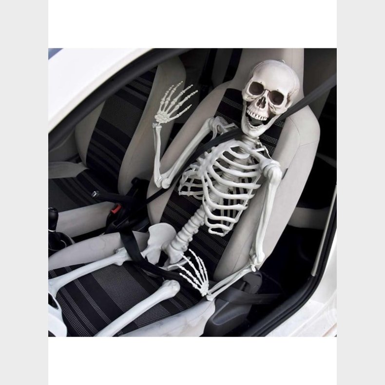 Mikamax Life Size Skeleton - 170 cm