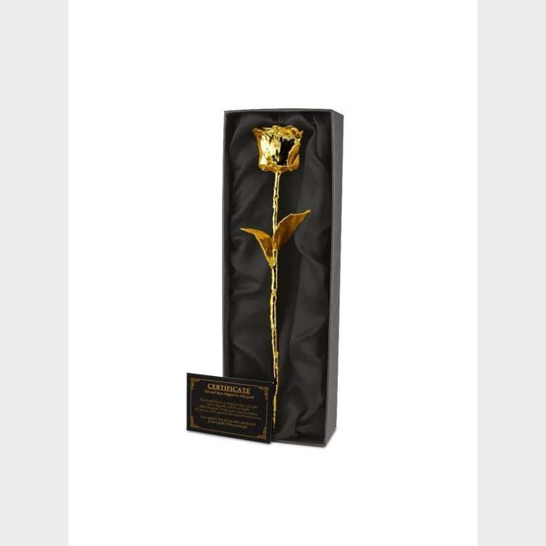 Mikamax 24K Golden Rose - Black Box