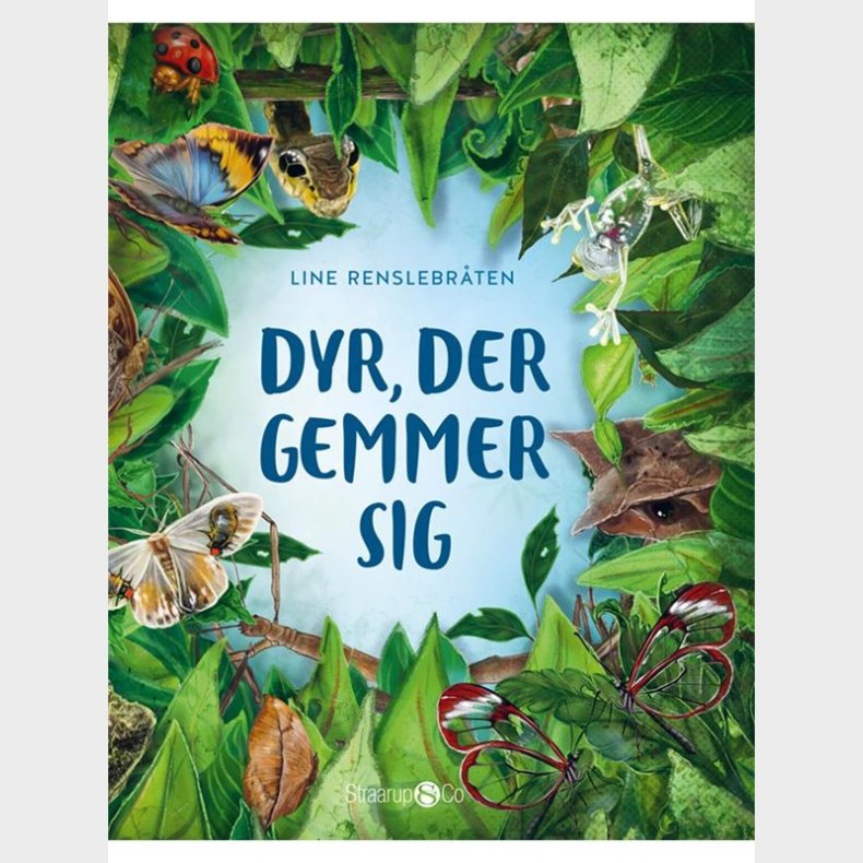 Dyr der gemmer sig - Brnebog - hardback