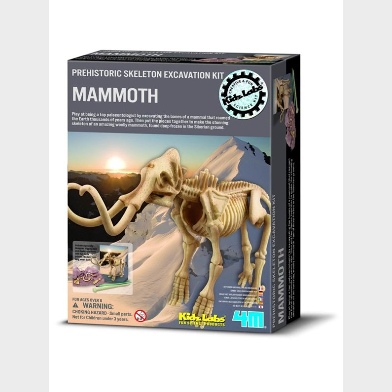 4M Kidz Labs/Dig a mammoth