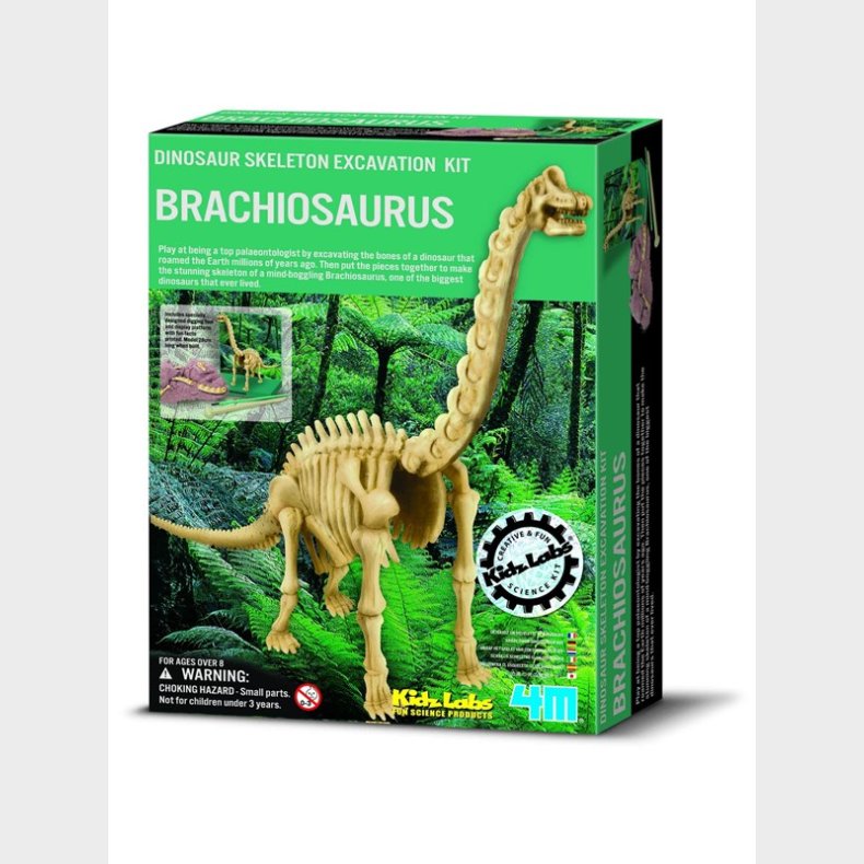 4M Kidz Labs/Dig a Brachiosaurus