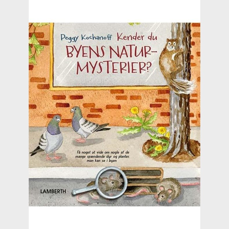 Kender du byens naturmysterier? - Brnebog - hardcover