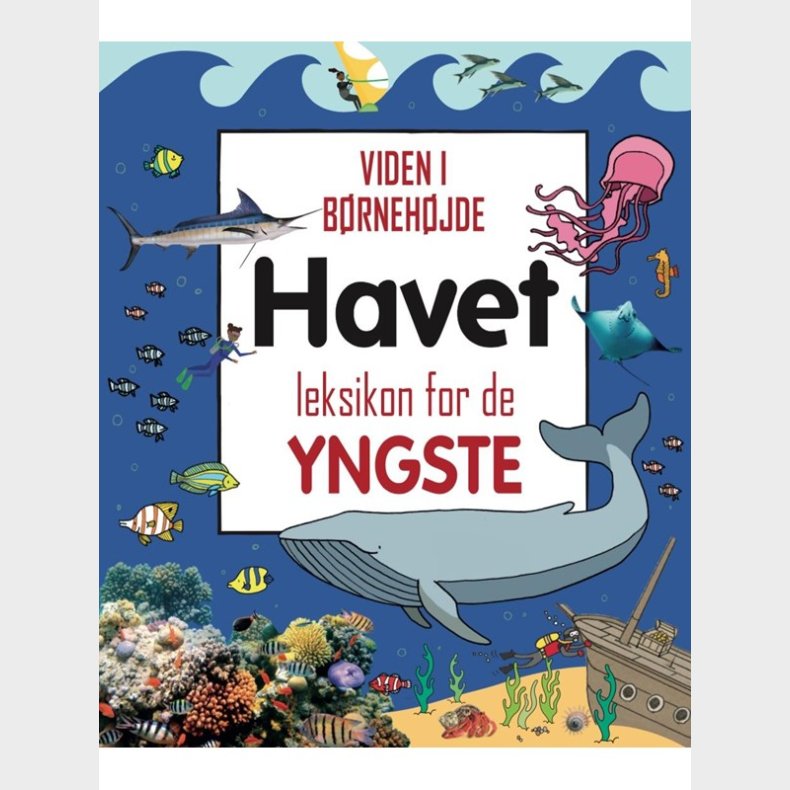 Havet - Leksikon for de yngste - Brnebog - hardcover