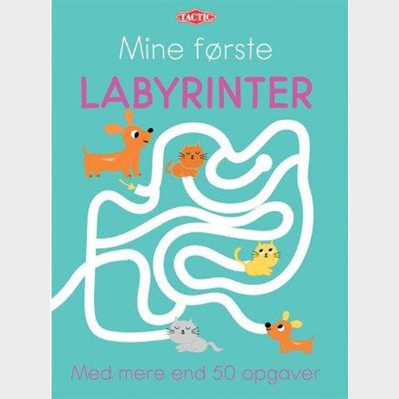 Mine frste labyrinter (DK) - Brnebog