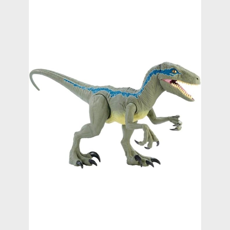 Jurassic World Blue Mega Large Dinosaur Figure Super Colossal Velociraptor Blue